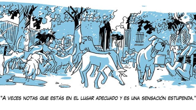 “Diario de un Refugio”: José Fonollosa invita a la rutina del voluntariado, rodeado de majísimos perros